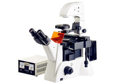 Inverted Fluorescence Biology Lab กล้องจุลทรรศน์ Edu Science Microscope 1200x 20X