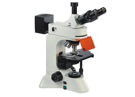 คุณภาพ  Trinocular Led Fluorescent Microscope Light 40X 1000X UIS Optical Microscope โรงงาน