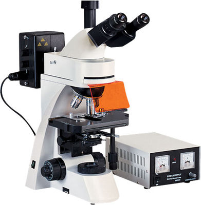 กล้องจุลทรรศน์ Trinocular Epi Fluorescence Microscope 1600X WF10X 22mm Phase Contrast Microscope