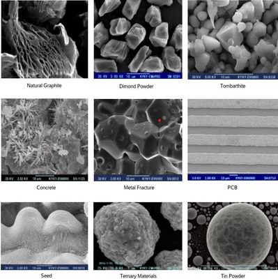 8X-300,000X การสแกนอิเล็กตรอนกล้องจุลทรรศน์ 3-6nm ความละเอียด EBSD EBSD