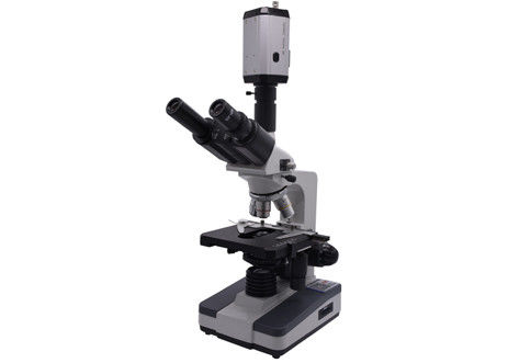 WF10X CCD 40X 0.65 กล้องจุลทรรศน์วิเคราะห์เลือดสดวิดีโอดิจิตอลชีวภาพ