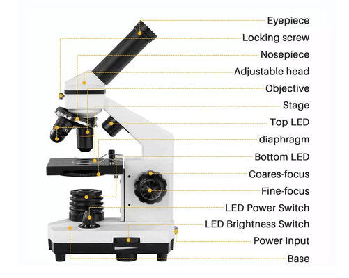 กล้องจุลทรรศน์ชีวภาพสำหรับนักเรียนแบบตาเดียว Drawtube 640X ODM