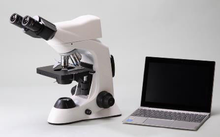 4 ตำแหน่ง 40X Lab Biological Microscope with Mechanical Stage
