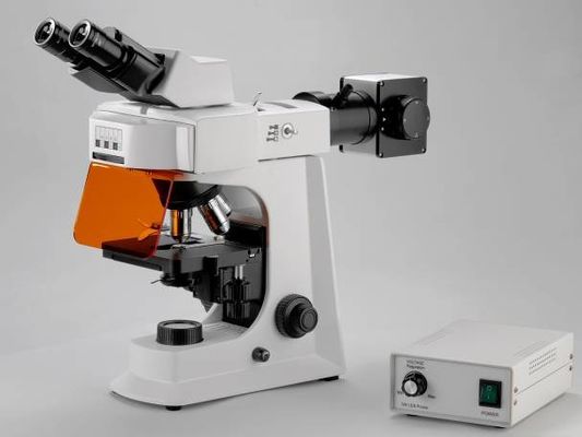 กล้องจุลทรรศน์ชีวภาพ Trinocular Lab สีขาวพร้อมขั้นตอนทางกล
