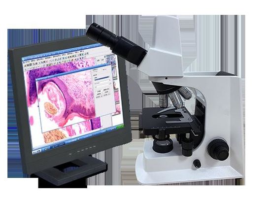 กล้องจุลทรรศน์ชีวภาพ Trinocular Lab สีขาวพร้อมขั้นตอนทางกล