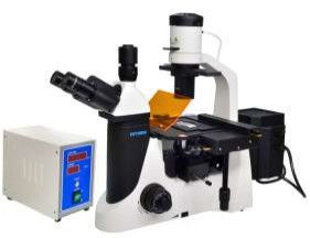 Epi LED Fluorescent Microscope Trinocular 40X 1000X กล้องจุลทรรศน์แล็บชีววิทยา
