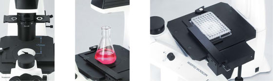 40X-400X Inverted Optical Microscope WF10X 22mm สำหรับการสังเกตและการเพาะปลูกเซลล์