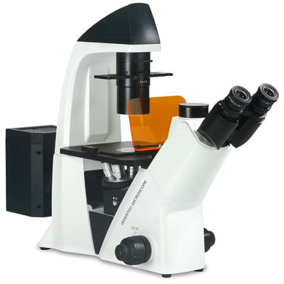 40X-400X Inverted Optical Microscope WF10X 22mm สำหรับการสังเกตและการเพาะปลูกเซลล์