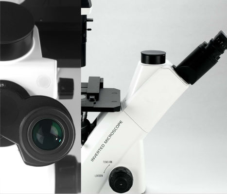 40X-400X Inverted Optical Microscope WF10X 22mm สำหรับการสังเกตและการเพาะปลูกเซลล์